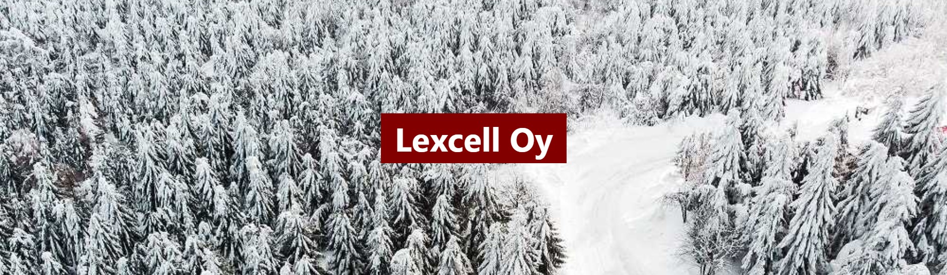 Lexcell oy - Excellent consulting service